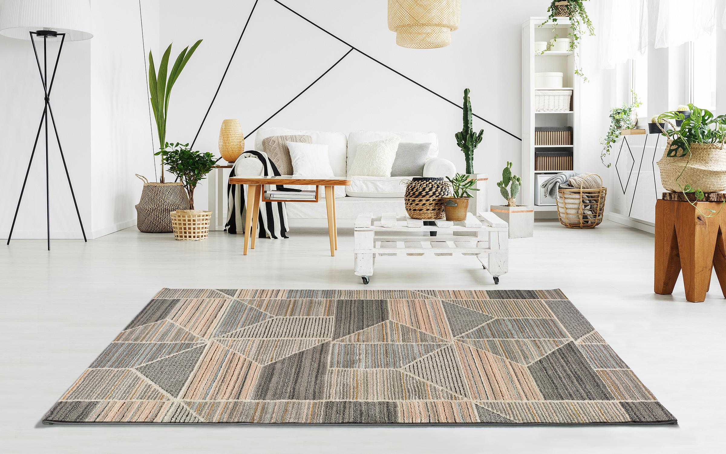 Carpet Gerard 2031 colorful