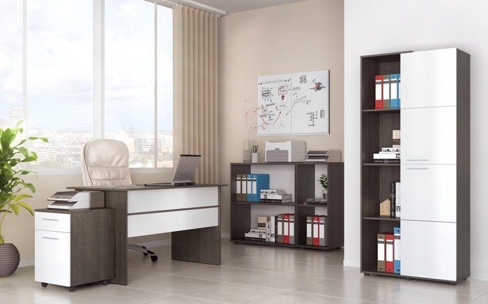 Office composition Rashica 4631 anthracite oak + white gloss
